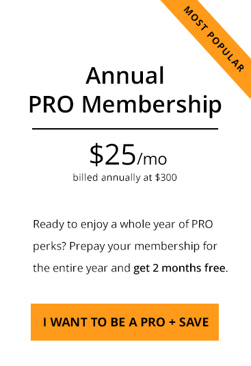 PRO Annual membership 63